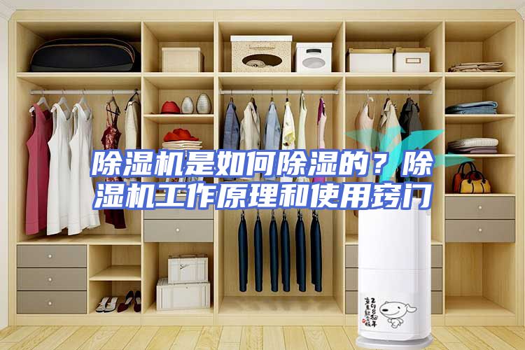 除湿机是如何除湿的？除湿机工作原理和使用窍门