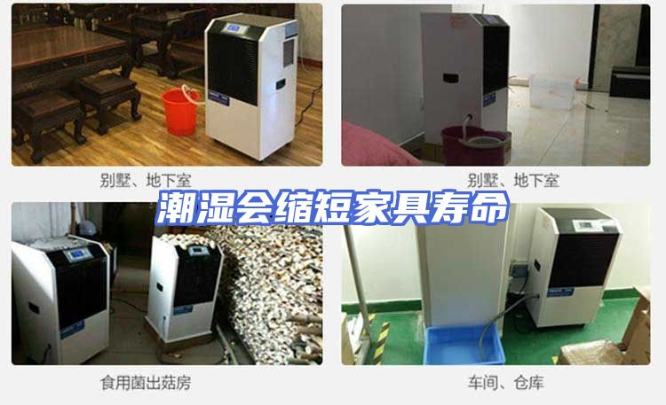 潮湿会缩短家具寿命