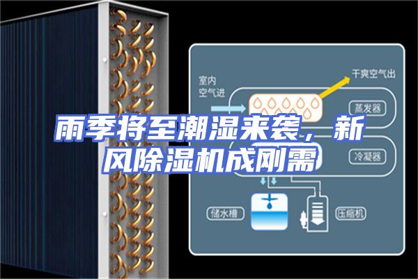 雨季将至潮湿来袭,新风除湿机成刚需