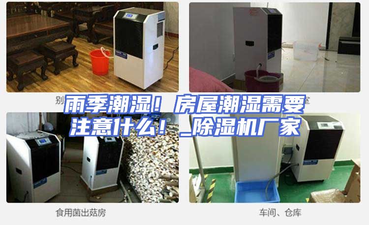 雨季潮湿!房屋潮湿需要注意什么!_除湿机厂家