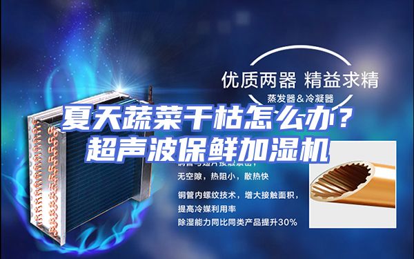 夏天蔬菜干枯怎么办?超声波保鲜加湿机