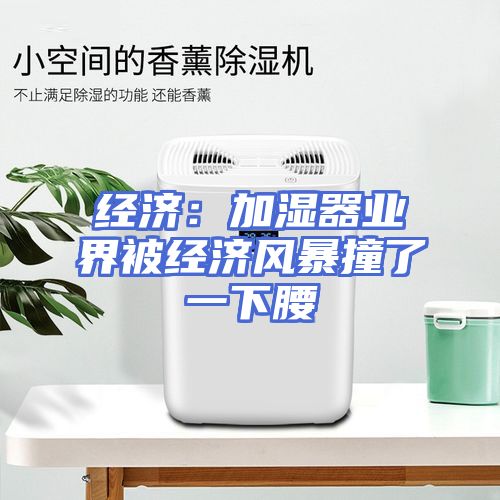 经济：加湿器业界被经济风暴撞了一下腰