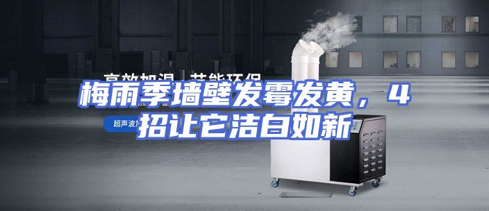 梅雨季墙壁发霉发黄,4招让它洁白如新