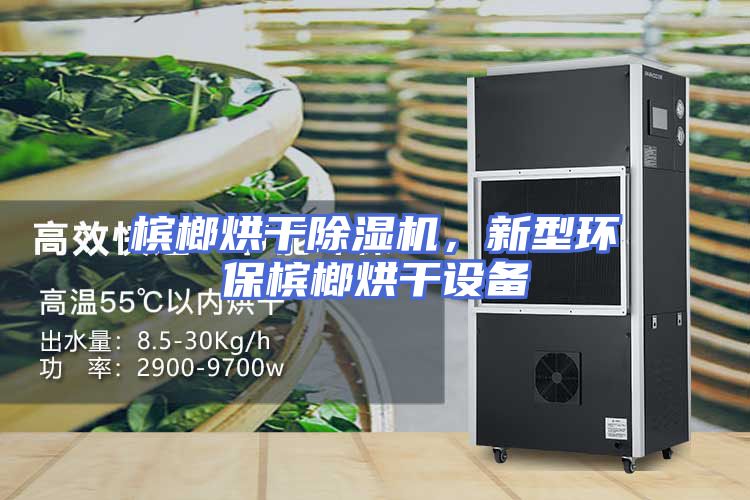 槟榔烘干除湿机，新型环保槟榔烘干设备