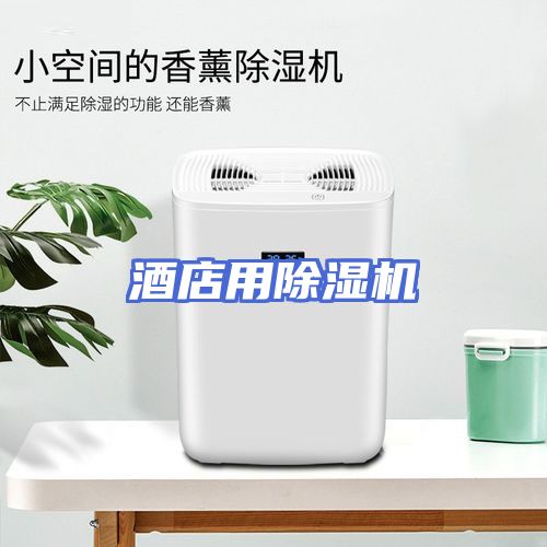 酒店用除湿机