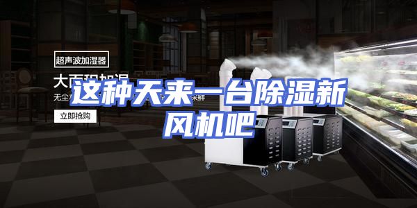 这种天来一台除湿新风机吧