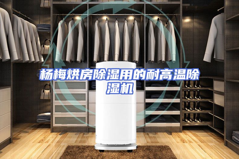 杨梅烘房除湿用的耐高温除湿机