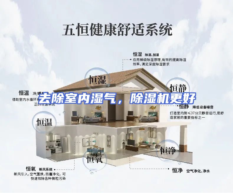 去除室内湿气，除湿机更好