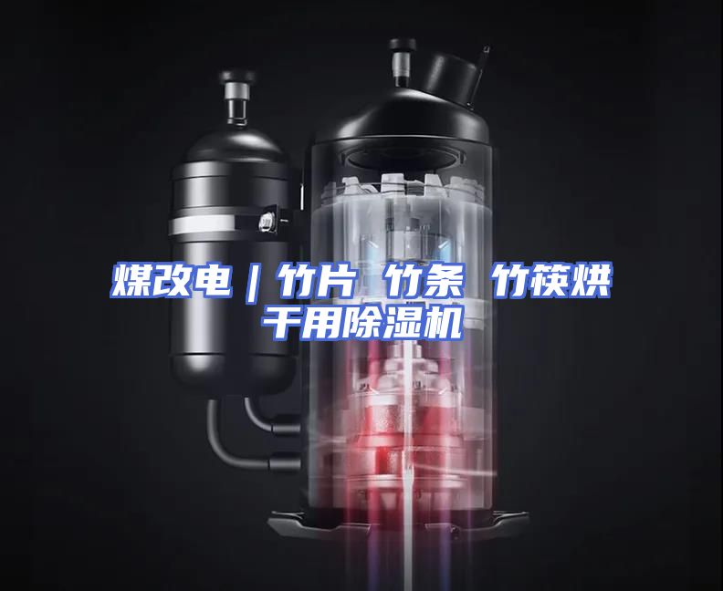 煤改电｜竹片 竹条 竹筷烘干用除湿机