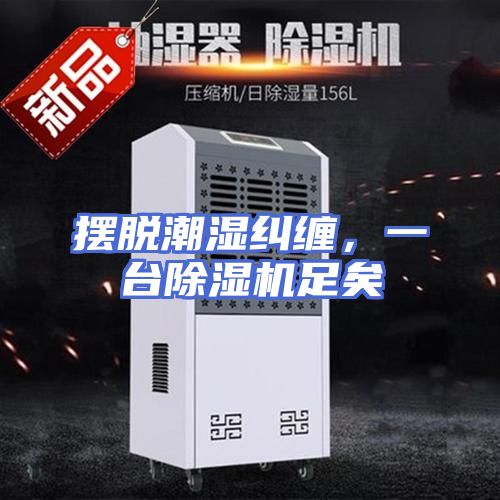 摆脱潮湿纠缠，一台除湿机足矣