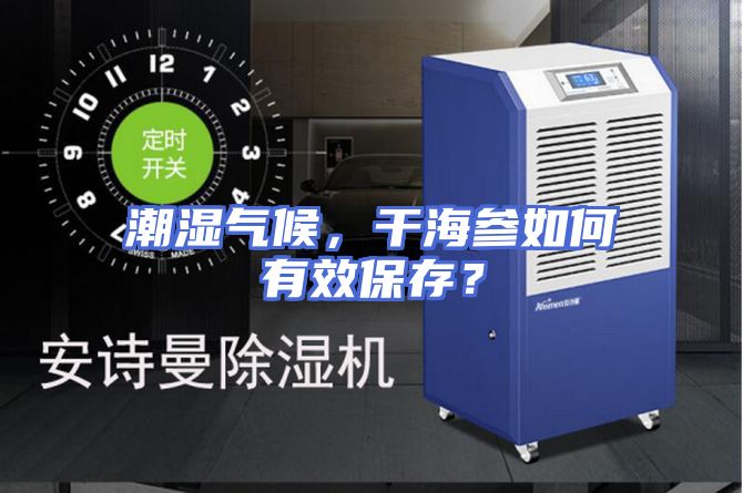 潮湿气候，干海参如何有效保存？