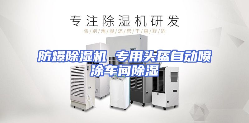 防爆除湿机 专用头盔自动喷涂车间除湿