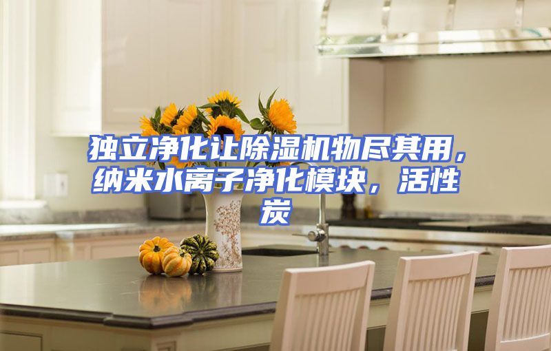 独立净化让除湿机物尽其用，纳米水离子净化模块，活性炭