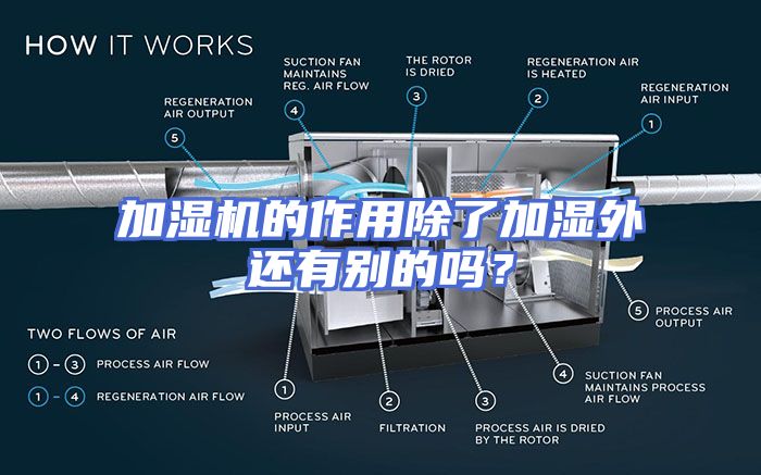 加湿机的作用除了加湿外还有别的吗？