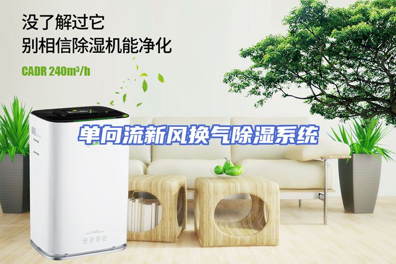 单向流新风换气除湿系统