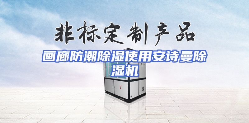 画廊防潮除湿使用安诗曼除湿机