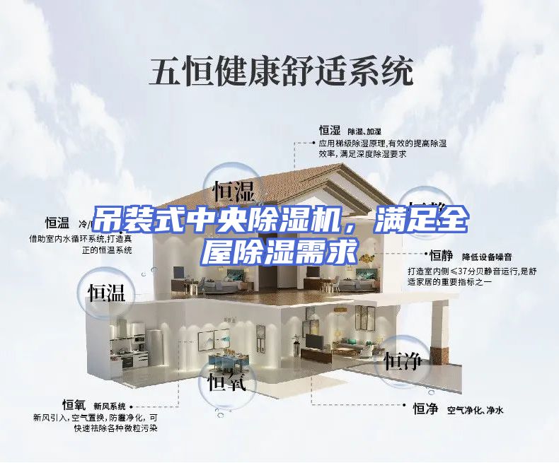 吊装式中央除湿机，满足全屋除湿需求