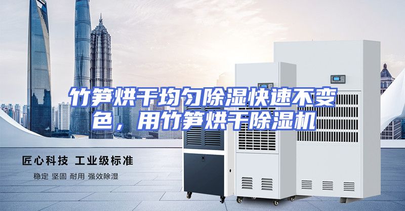 竹笋烘干均匀除湿快速不变色，用竹笋烘干除湿机
