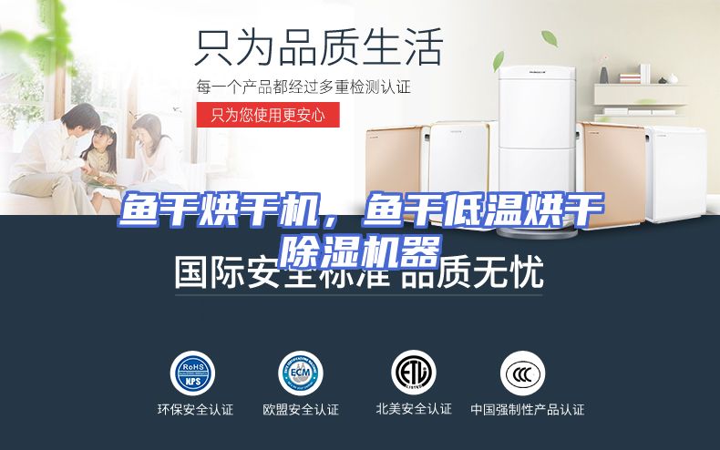 鱼干烘干机,鱼干低温烘干除湿机器