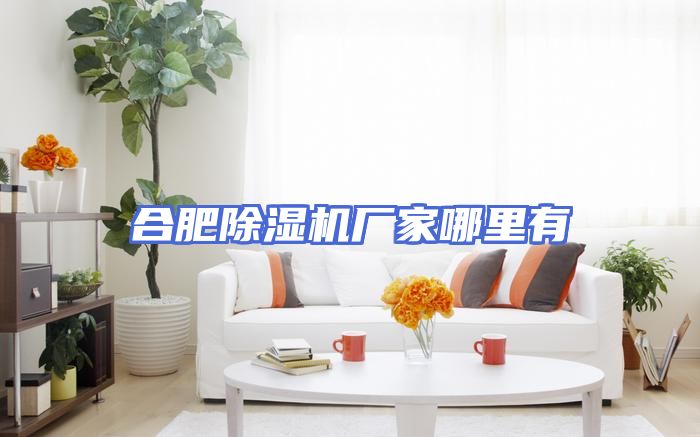 合肥除湿机厂家哪里有