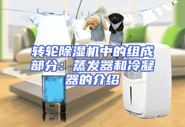 转轮除湿机中的组成部分:蒸发器和冷凝器的介绍