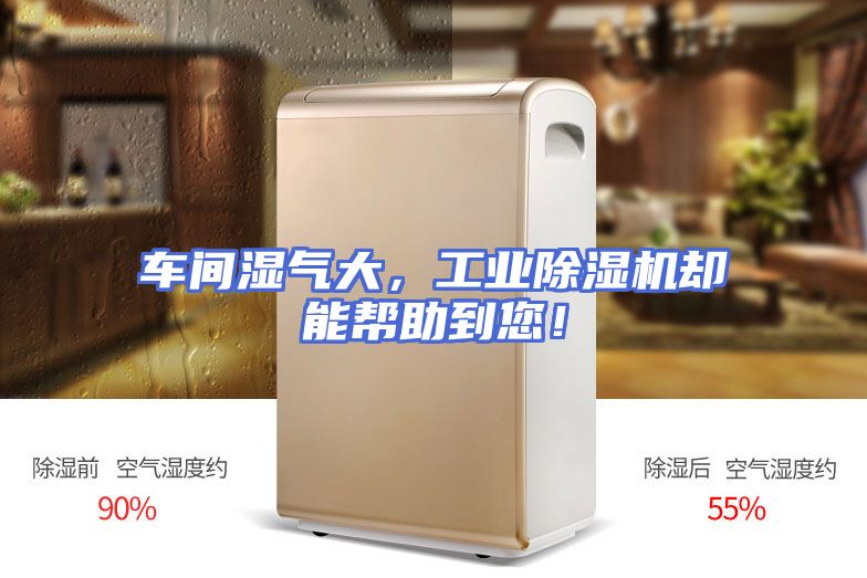 车间湿气大，工业除湿机却能帮助到您！