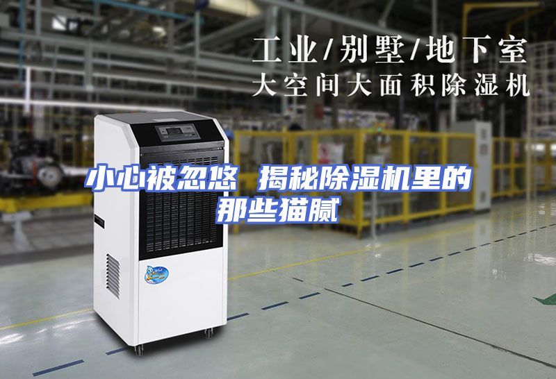 小心被忽悠 揭秘除湿机里的那些猫腻
