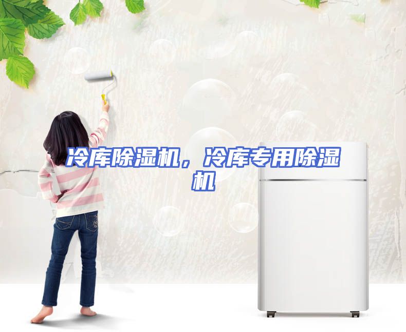 冷库除湿机，冷库专用除湿机