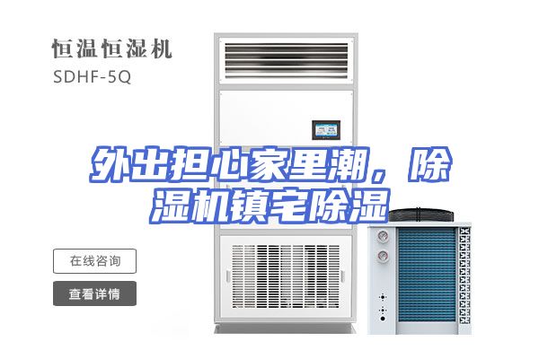 外出担心家里潮，除湿机镇宅除湿