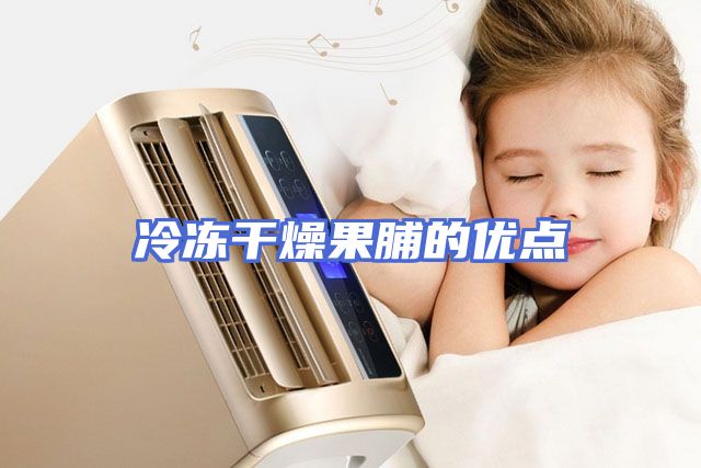 冷冻干燥果脯的优点