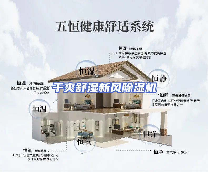 干爽舒湿新风除湿机