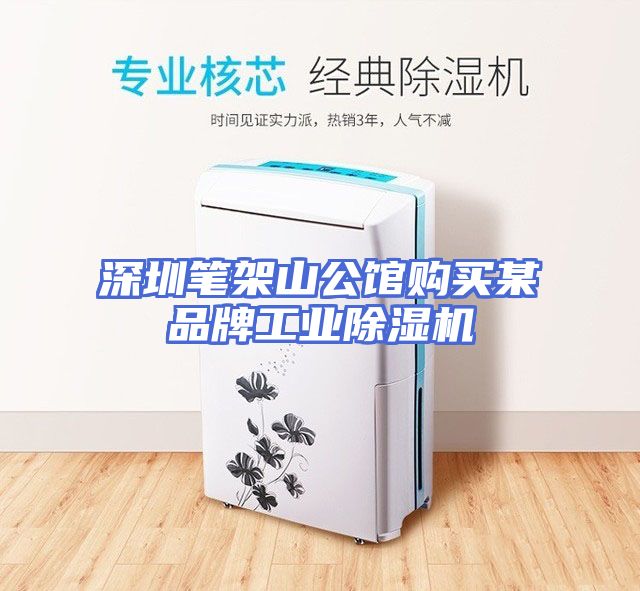 深圳笔架山公馆购买某品牌工业除湿机