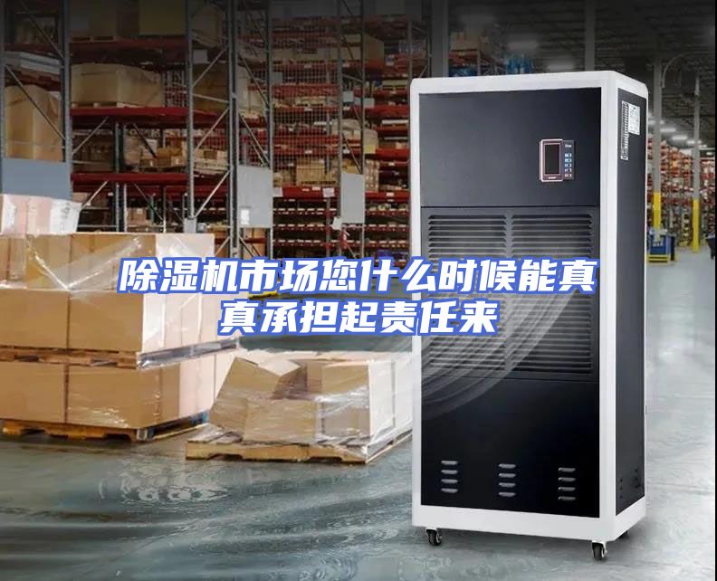 除湿机市场您什么时候能真真承担起责任来