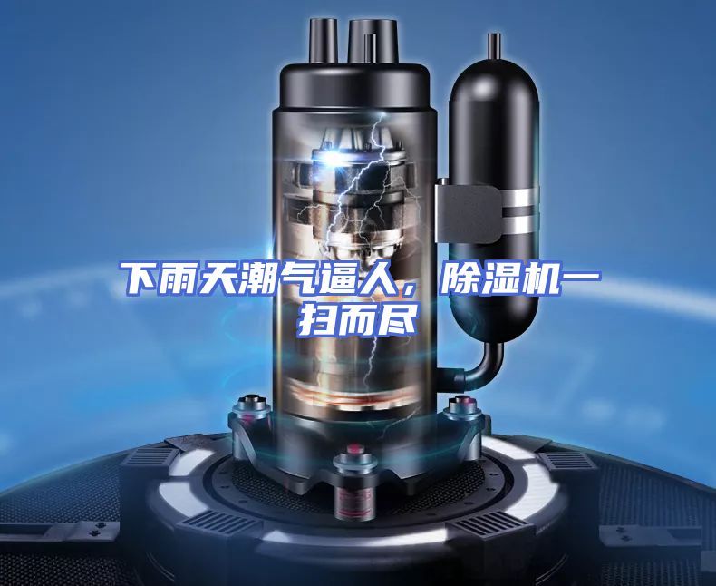 下雨天潮气逼人,除湿机一扫而尽