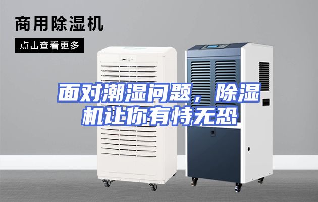 面对潮湿问题，除湿机让你有恃无恐