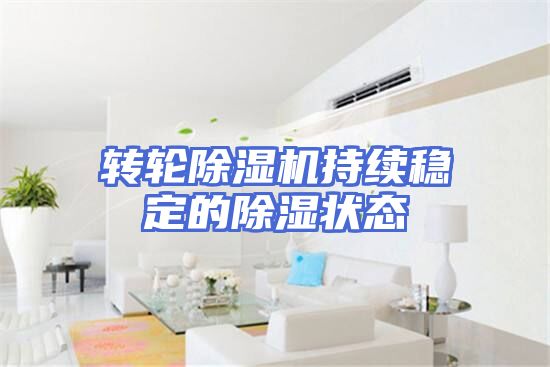 转轮除湿机持续稳定的除湿状态