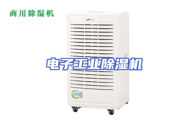 电子工业除湿机