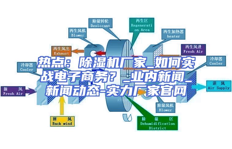 热点：除湿机厂家_如何实战电子商务？_业内新闻_新闻动态-实力厂家官网