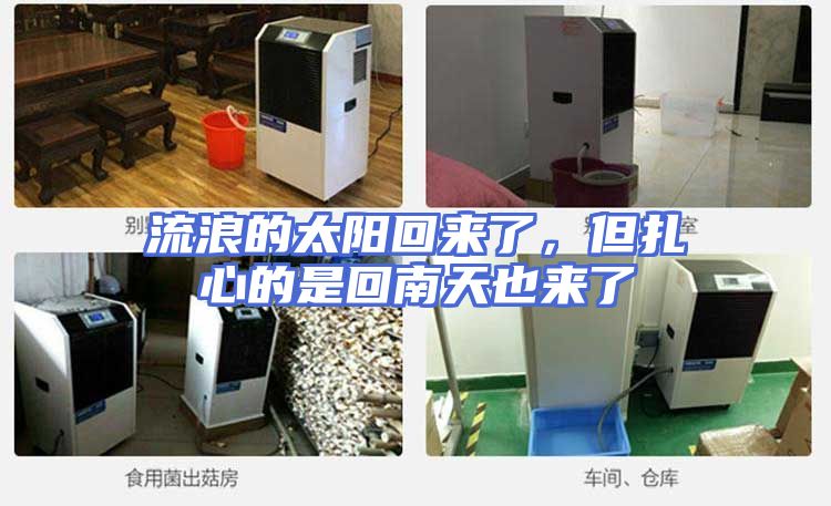 流浪的太阳回来了，但扎心的是回南天也来了