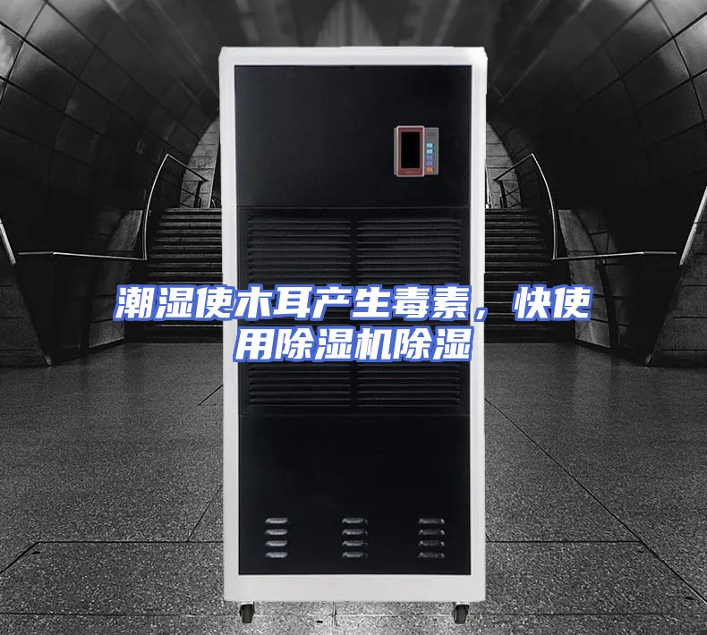 潮湿使木耳产生毒素，快使用除湿机除湿
