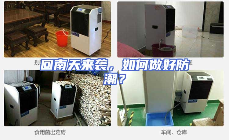 回南天来袭，如何做好防潮？