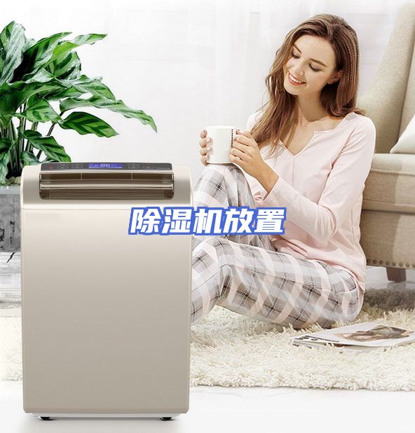 除湿机放置