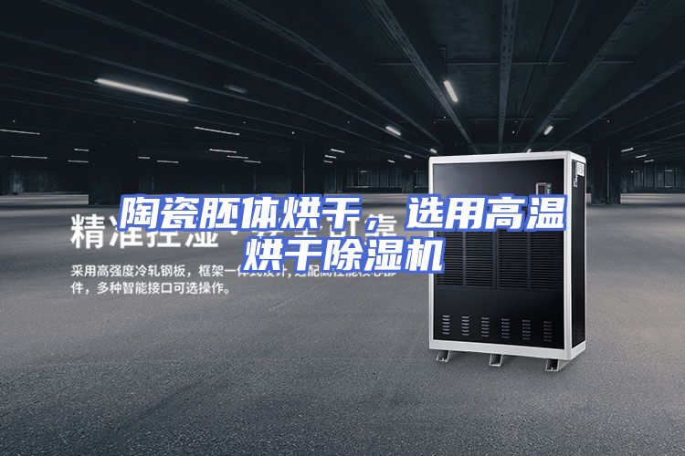 陶瓷胚体烘干,选用高温烘干除湿机