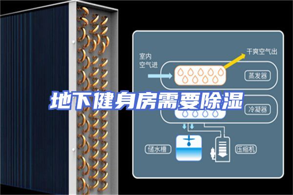 地下健身房需要除湿