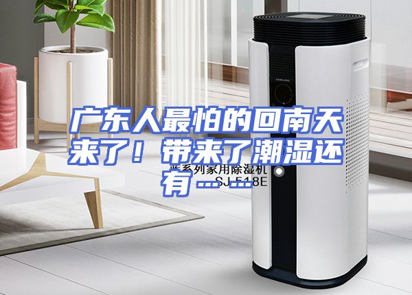广东人最怕的回南天来了！带来了潮湿还有……