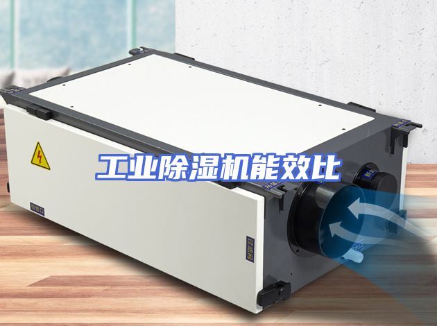 工业除湿机能效比