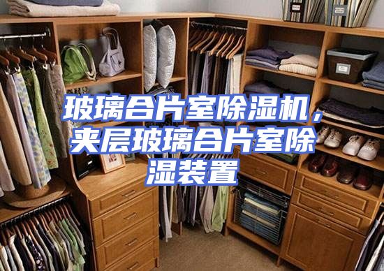 玻璃合片室除湿机，夹层玻璃合片室除湿装置