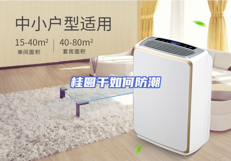桂圆干如何防潮