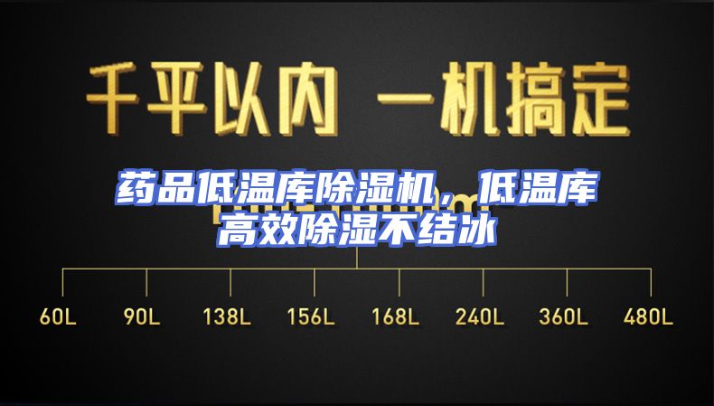 药品低温库除湿机，低温库高效除湿不结冰