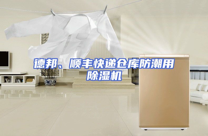 德邦、顺丰快递仓库防潮用除湿机